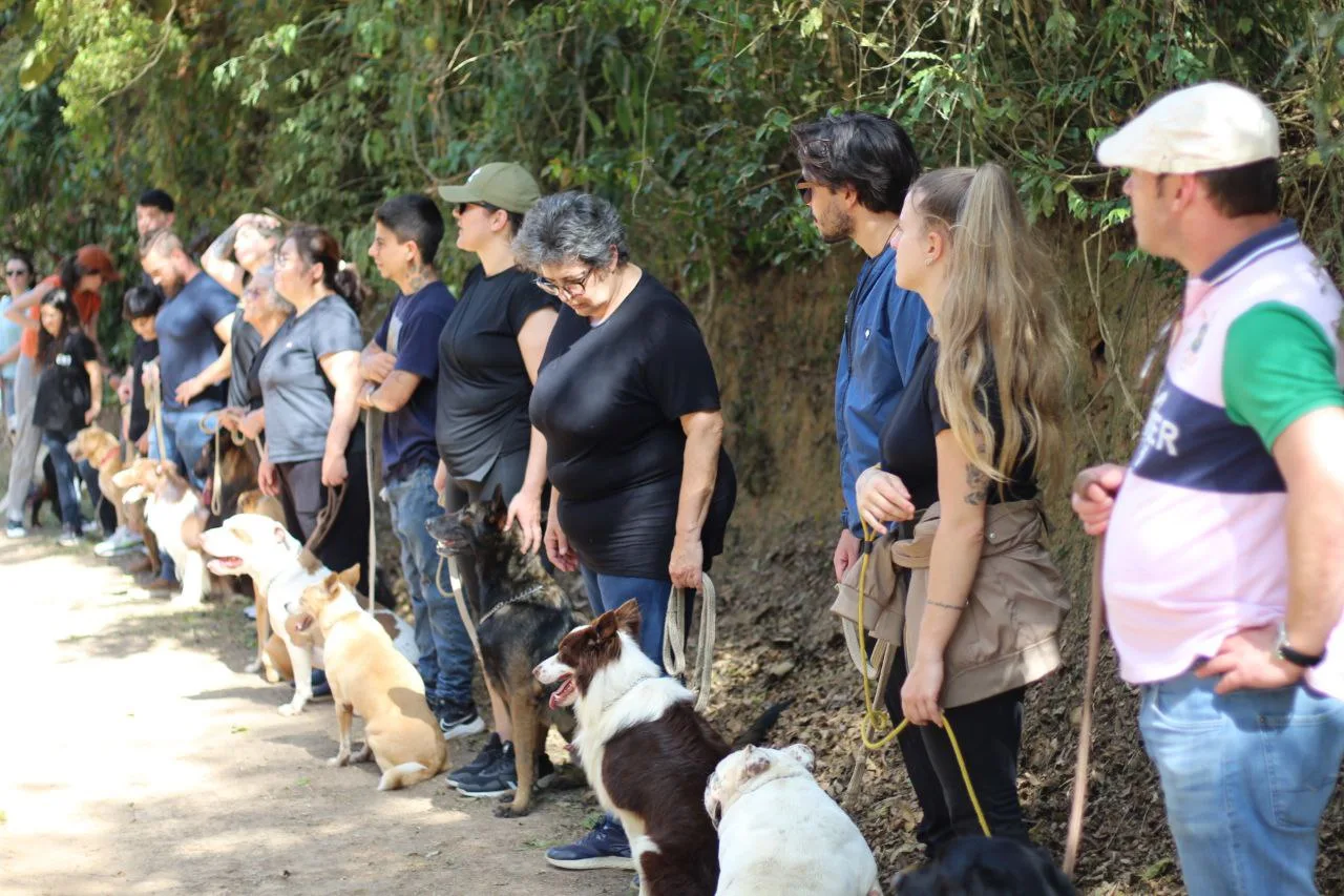 Donos observam seus cães durante uma atividade em grupo ao ar livre